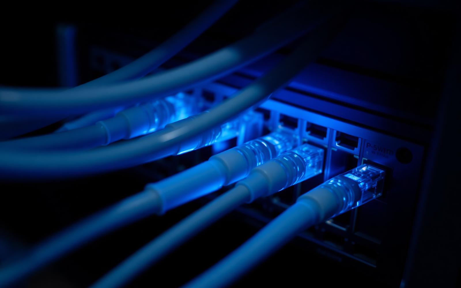 Close-up of network cables connected to switch ports lit in blue